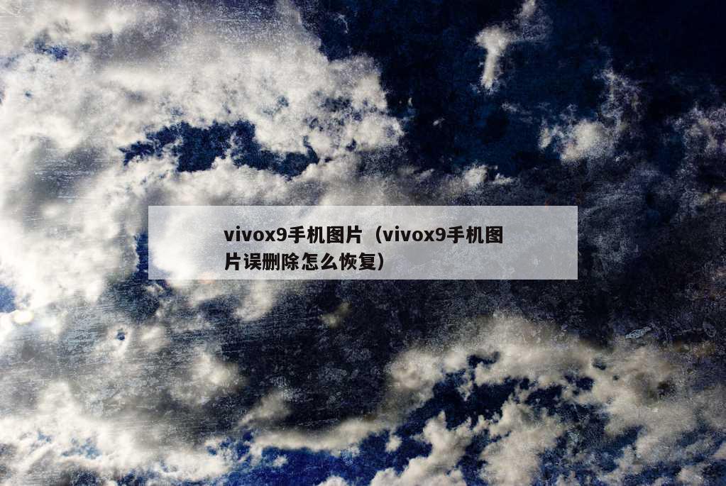 vivox9手机图片（vivox9手机图片误删除怎么恢复）