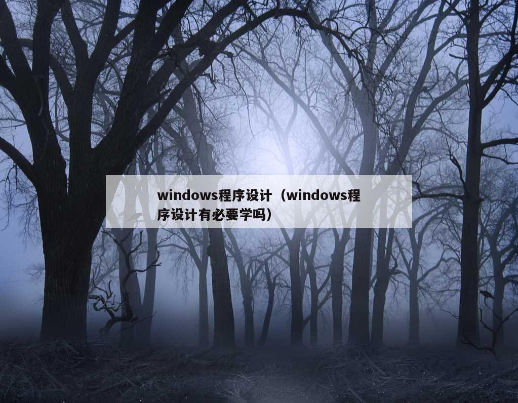 windows程序设计（windows程序设计有必要学吗）