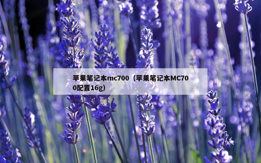 苹果笔记本mc700（苹果笔记本MC700配置16g）