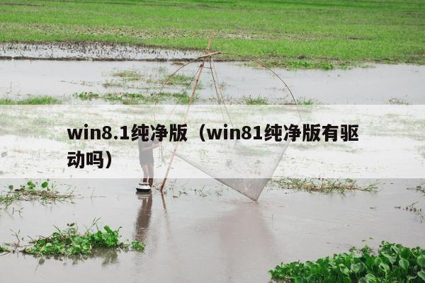 win8.1纯净版（win81纯净版有驱动吗）