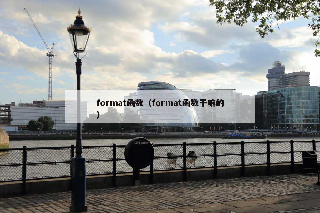 format函数（format函数干嘛的）