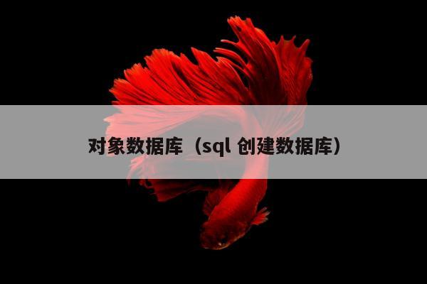 对象数据库（sql 创建数据库）