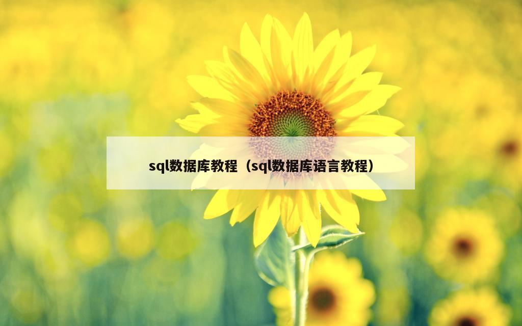 sql数据库教程（sql数据库语言教程）