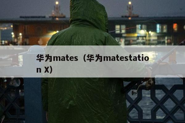 华为mates（华为matestation X）