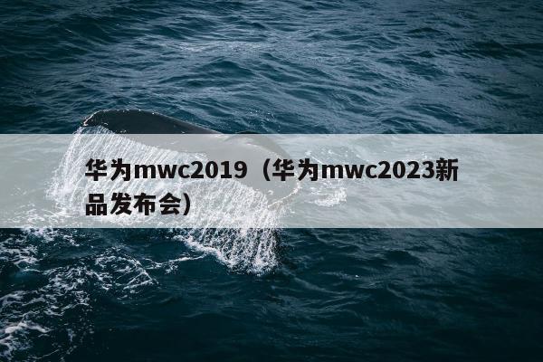 华为mwc2019（华为mwc2023新品发布会）