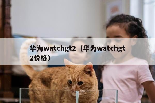 华为watchgt2（华为watchgt2价格）