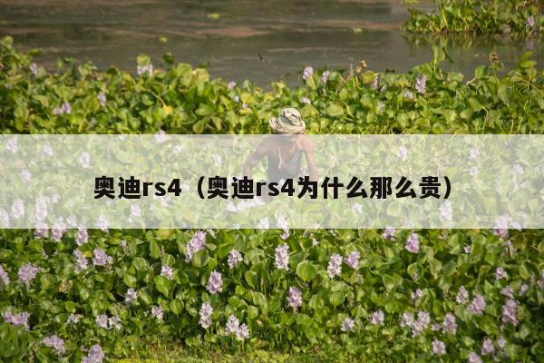 奥迪rs4（奥迪rs4为什么那么贵）