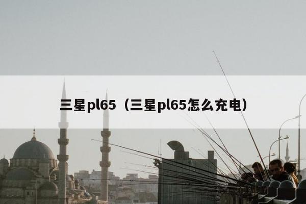 三星pl65（三星pl65怎么充电）