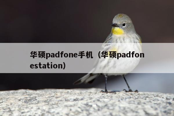 华硕padfone手机（华硕padfonestation）