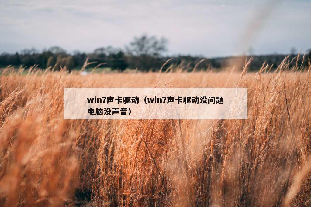 win7声卡驱动（win7声卡驱动没问题电脑没声音）