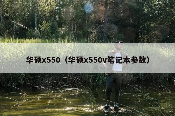 华硕x550（华硕x550v笔记本参数）