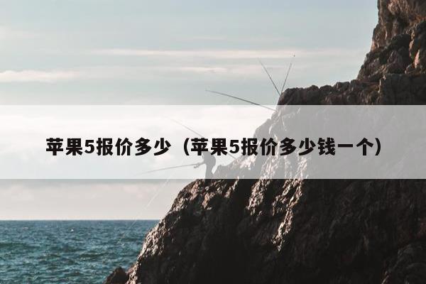 苹果5报价多少（苹果5报价多少钱一个）