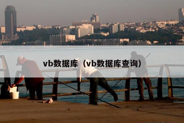 vb数据库（vb数据库查询）