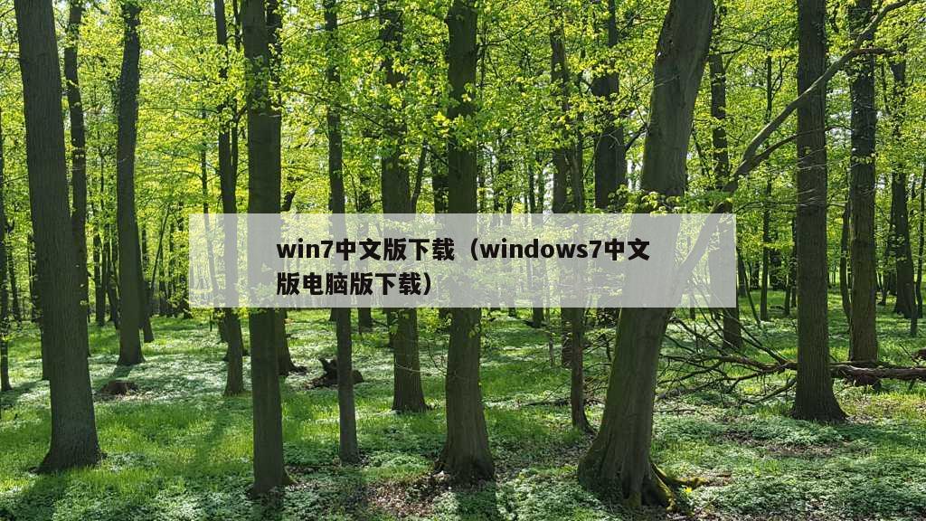 win7中文版下载（windows7中文版电脑版下载）