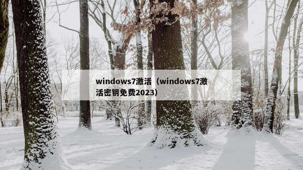 windows7激活（windows7激活密钥免费2023）