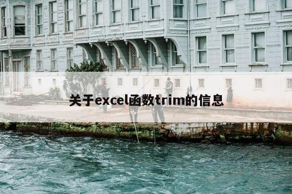 关于excel函数trim的信息