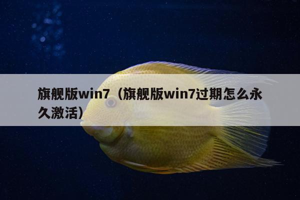 旗舰版win7（旗舰版win7过期怎么永久激活）