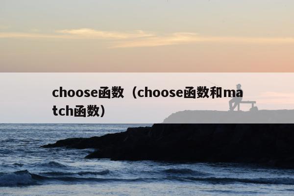 choose函数（choose函数和match函数）