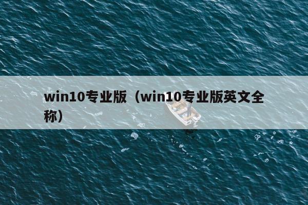 win10专业版（win10专业版英文全称）