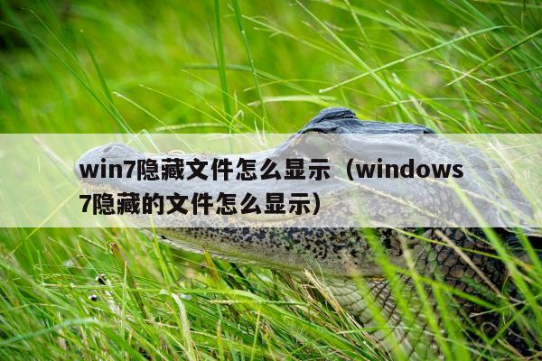 win7隐藏文件怎么显示（windows7隐藏的文件怎么显示）