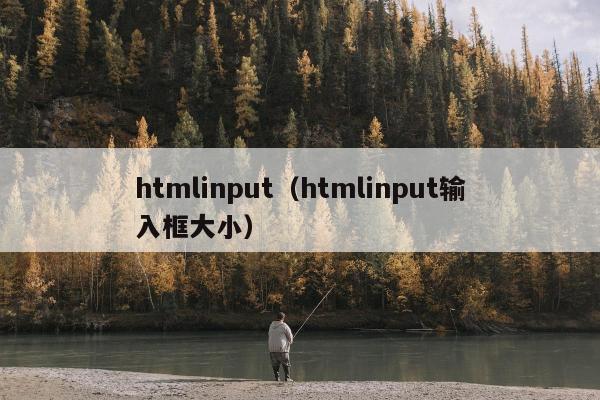 htmlinput（htmlinput输入框大小）