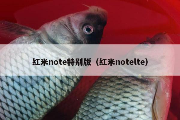 红米note特别版（红米notelte）