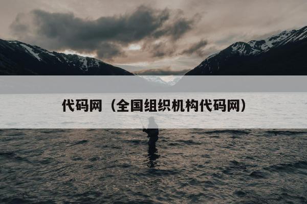 代码网（全国组织机构代码网）