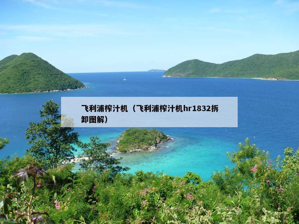 飞利浦榨汁机（飞利浦榨汁机hr1832拆卸图解）