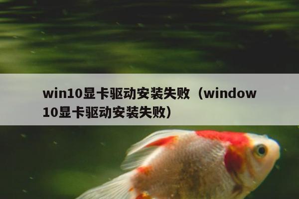 win10显卡驱动安装失败（window10显卡驱动安装失败）