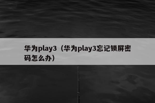 华为play3（华为play3忘记锁屏密码怎么办）