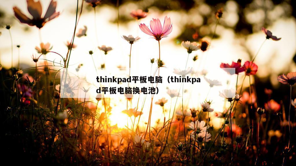 thinkpad平板电脑（thinkpad平板电脑换电池）