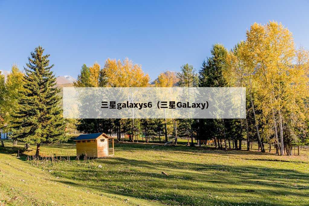 三星galaxys6（三星GaLaxy）