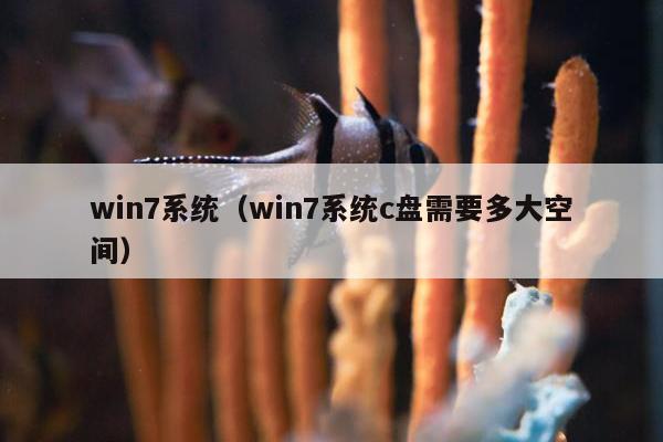 win7系统（win7系统c盘需要多大空间）