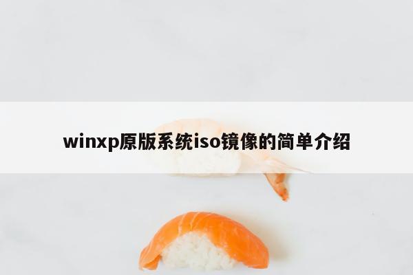 winxp原版系统iso镜像的简单介绍