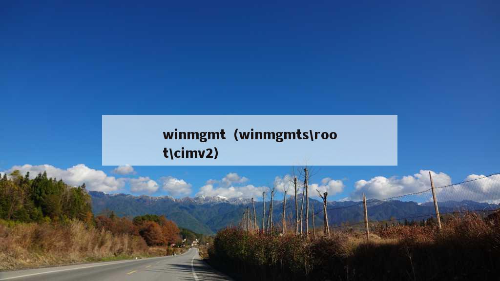 winmgmt（winmgmts\root\cimv2）