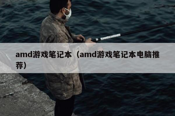 amd游戏笔记本（amd游戏笔记本电脑推荐）