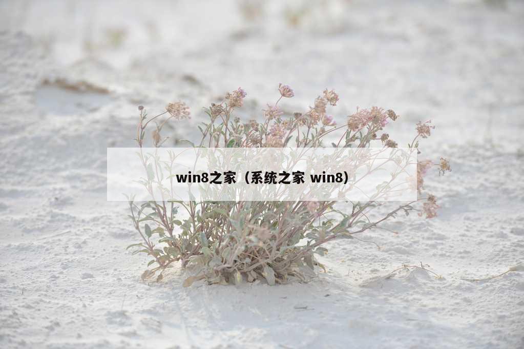 win8之家（系统之家 win8）