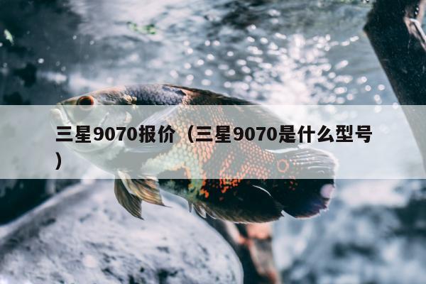 三星9070报价（三星9070是什么型号）