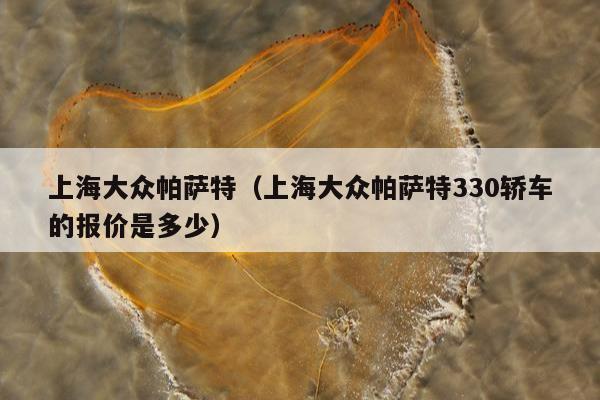 上海大众帕萨特（上海大众帕萨特330轿车的报价是多少）