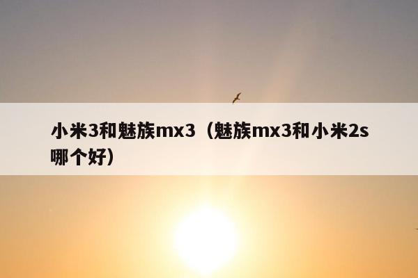 小米3和魅族mx3（魅族mx3和小米2s哪个好）