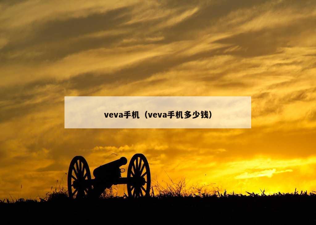 veva手机（veva手机多少钱）