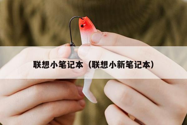 联想小笔记本（联想小新笔记本）