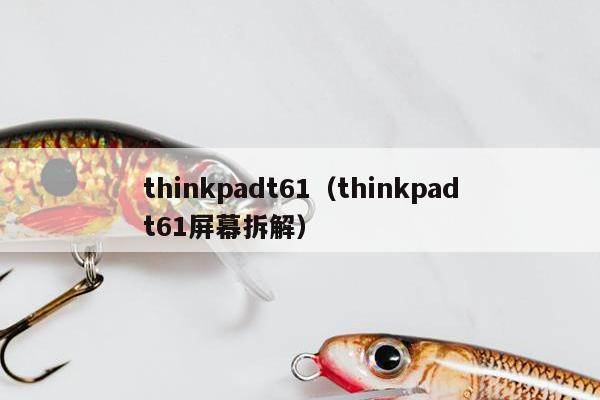 thinkpadt61（thinkpadt61屏幕拆解）