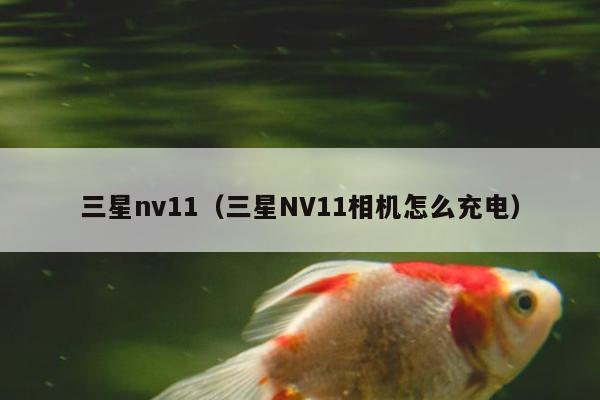 三星nv11（三星NV11相机怎么充电）