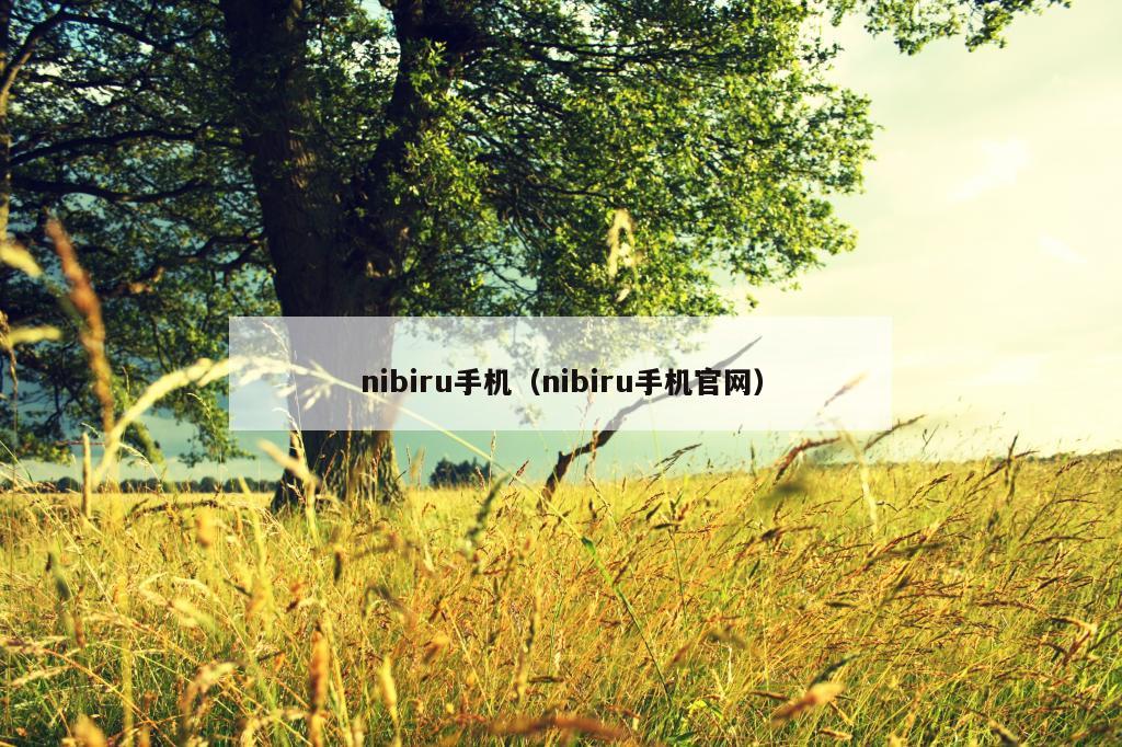 nibiru手机（nibiru手机官网）