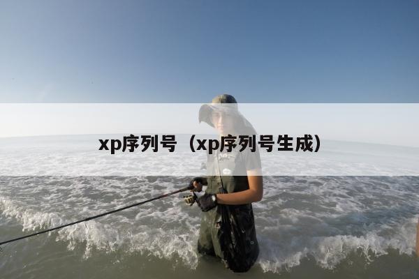 xp序列号（xp序列号生成）