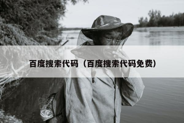 百度搜索代码（百度搜索代码免费）