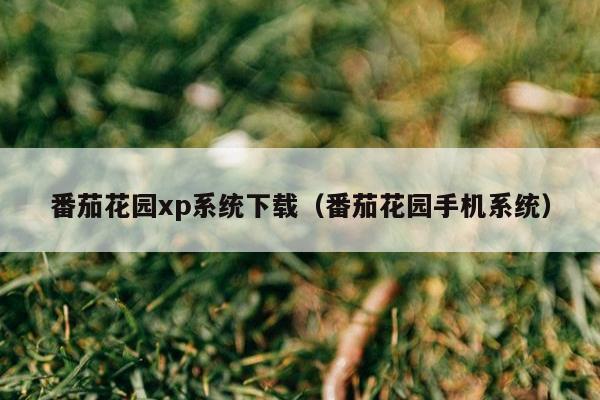 番茄花园xp系统下载（番茄花园手机系统）