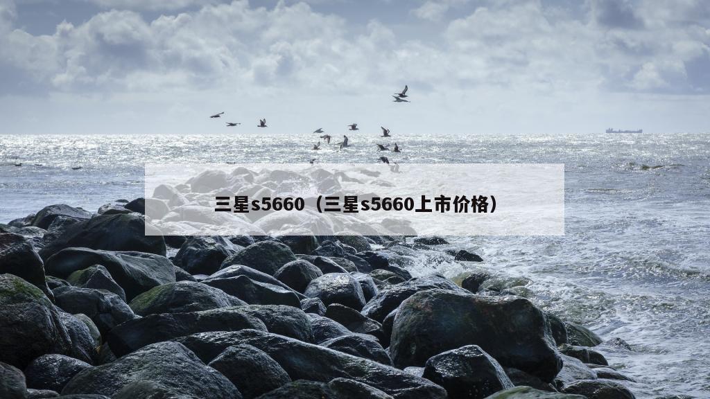 三星s5660（三星s5660上市价格）