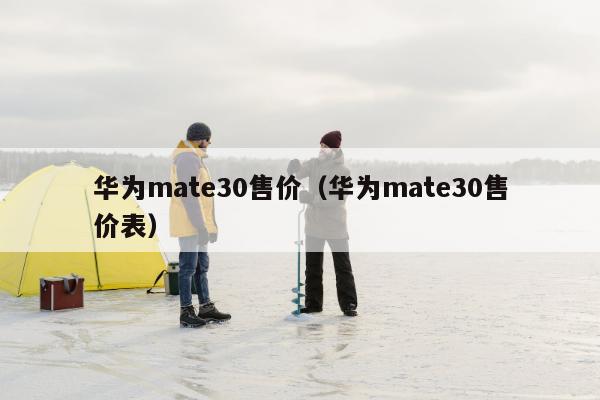 华为mate30售价（华为mate30售价表）